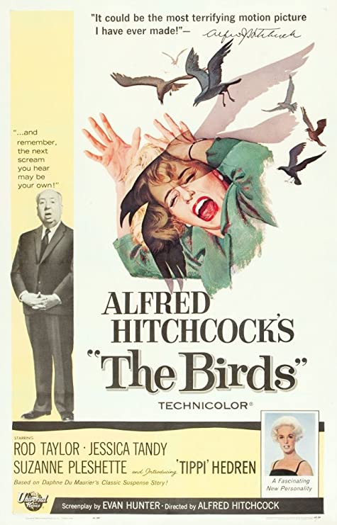 the-birds-scary-movies
