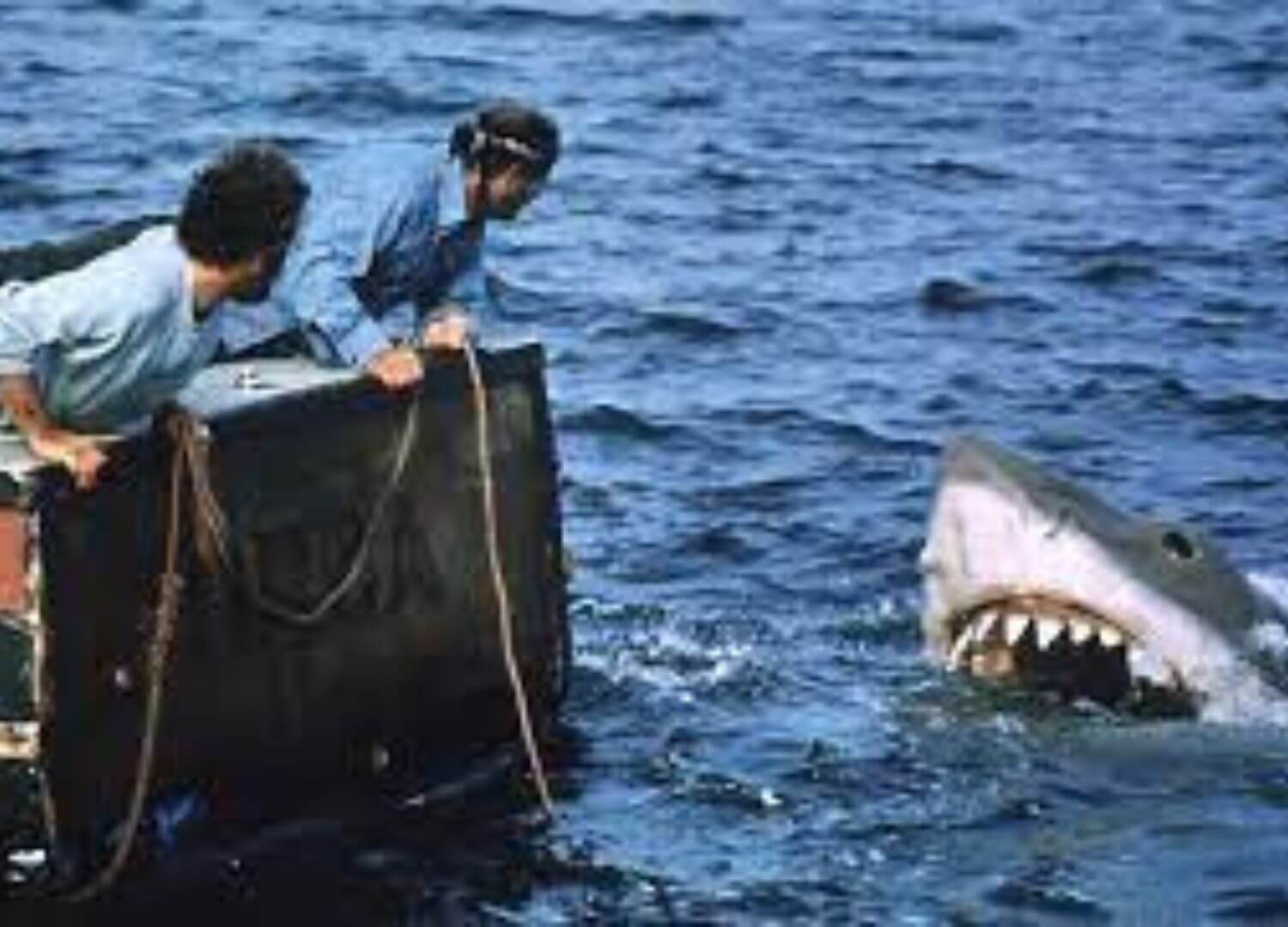 Jaws-Horror-movies-on-true-stories