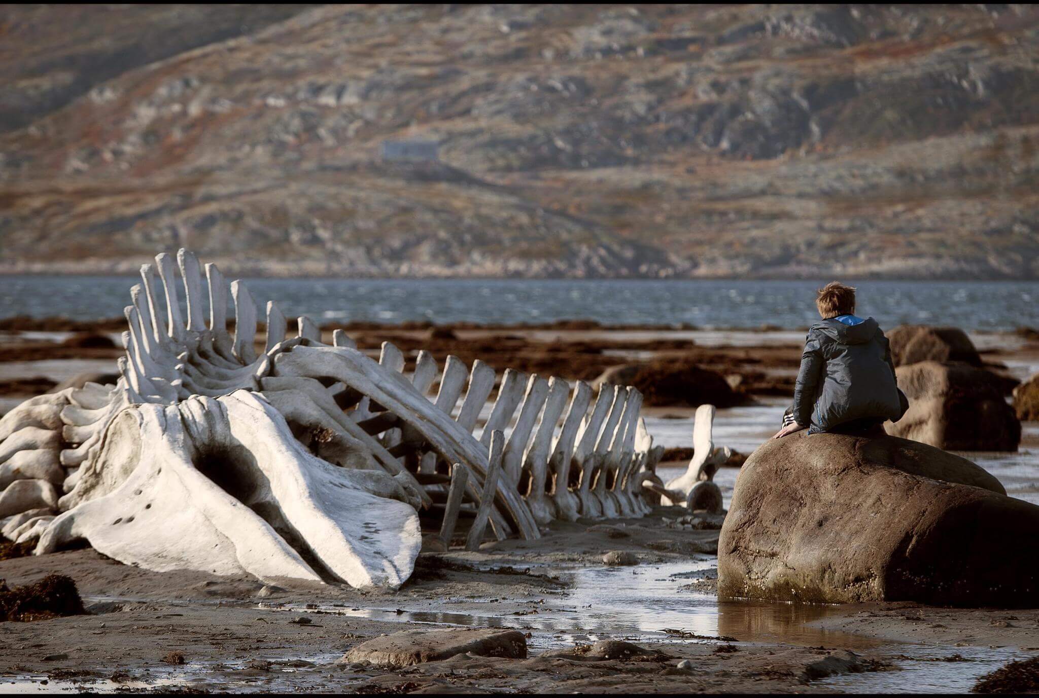 Leviathan-2014-itv-best-movies