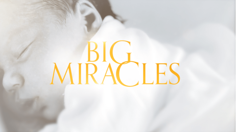 How to Watch Big Miracles in Canada on 9Now