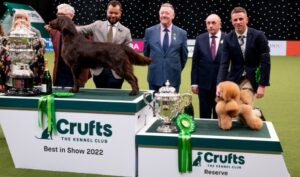 Watch Crufts 2023 in Canada on Channel 4